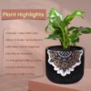 9740860PL-1_converted Peace Lily In Black Mandala Pot